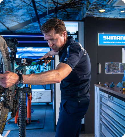 Técnico Shimano