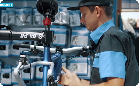 Servicio Básico