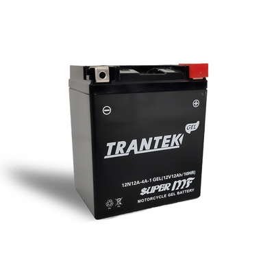 BATERIA 12N12A-A4-1 C/ GEL