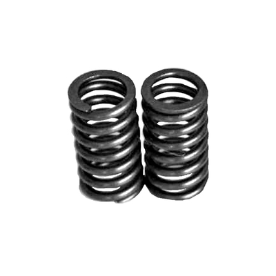 Juego Resorte De Valvula C110