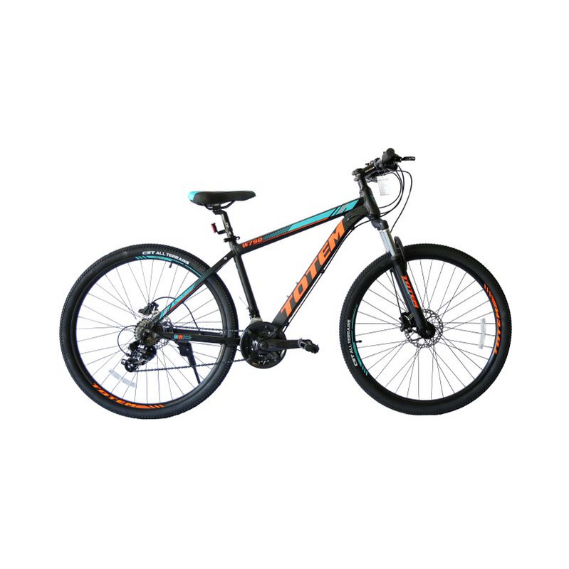 BICICLETA TOTEM W790 ARO 29