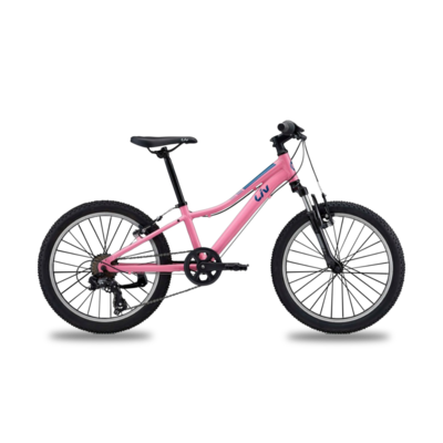 BICICLETA LIV ENCHANT 20 