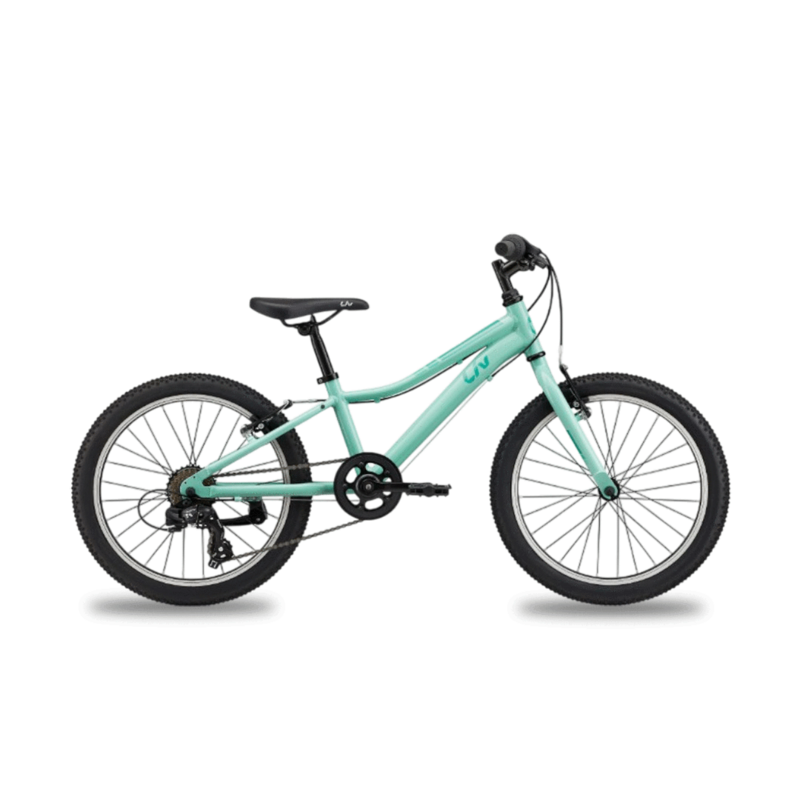 BICICLETA LIV ENCHANT 20 