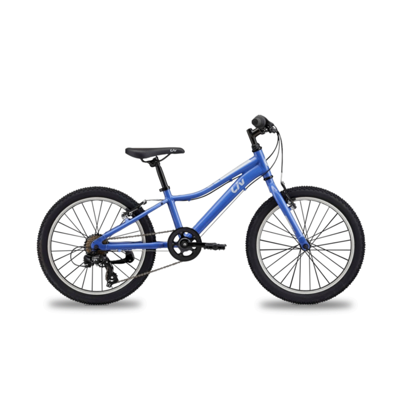 BICICLETA LIV ENCHANT 20 