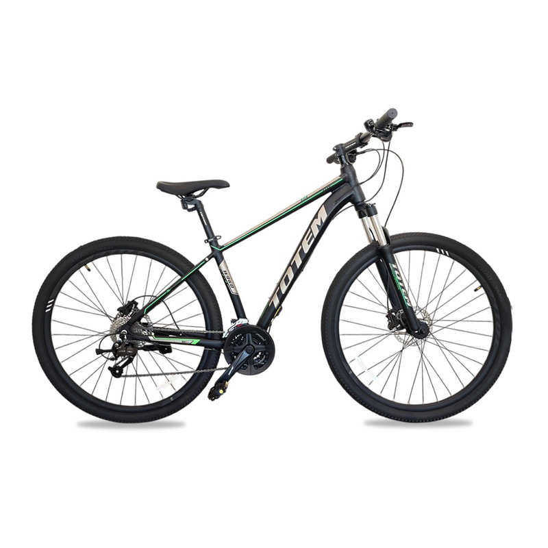 BICICLETA TOTEM W960 ARO 29
