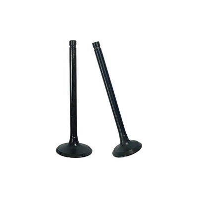 Valvula De Admisión Cg200