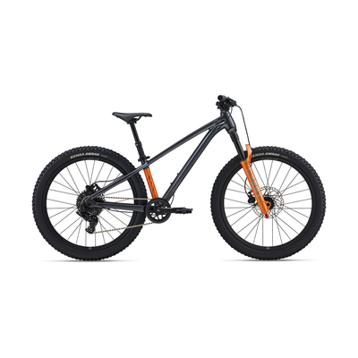 BICICLETA GIANT STP
