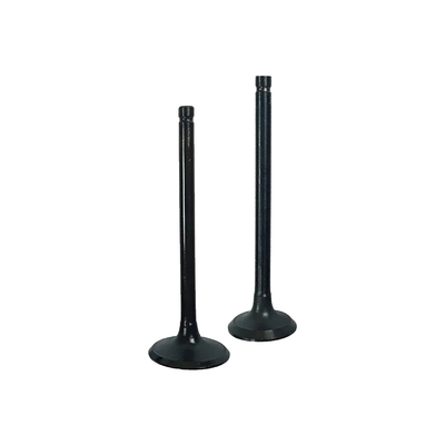 Valvula De Escape C110 Et