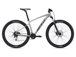 BICICLETA GIANT TALON 29-2