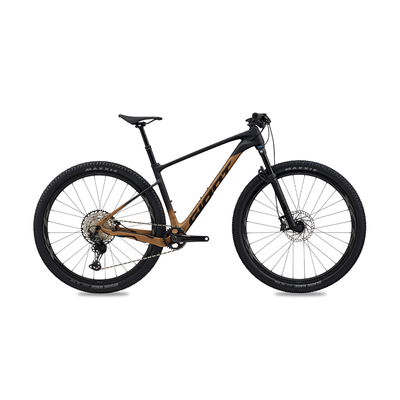 BICICLETA GIANT XTC ADV 29 1 