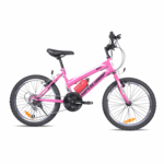 BICICLETA SUPERCHAMP MTB ARO 20 FEM