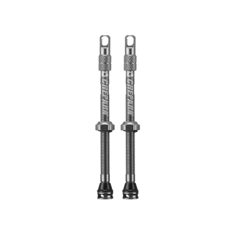 VALVULAS TUBELESS CHEPARK PLATA 