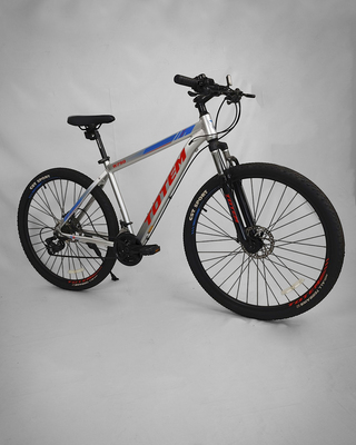BICICLETA TOTEM W790 ARO 29