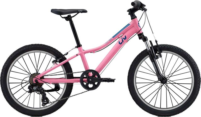 BICICLETA LIV ENCHANT 20 