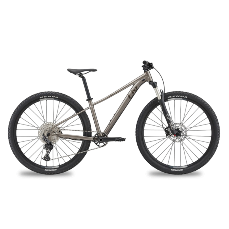 BICICLETA LIV TEMPT 29-0