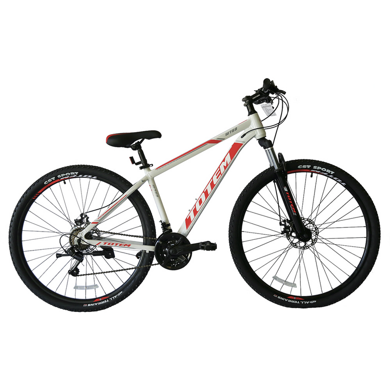 BICICLETA TOTEM W760 ARO 29