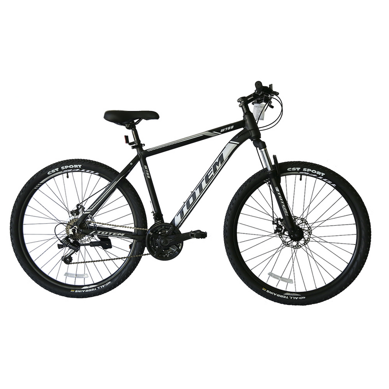 BICICLETA TOTEM W760 ARO 29