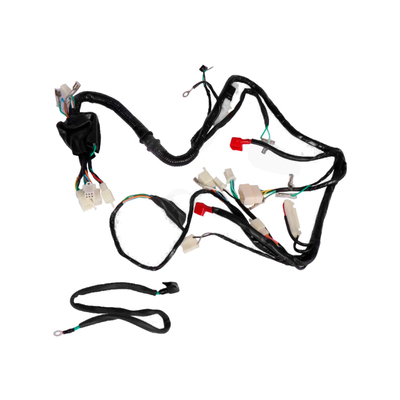 Cableado Completo Gtr/ Shark